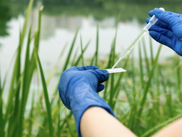 hands in rubber gloves holds pipette and collects water sample from river